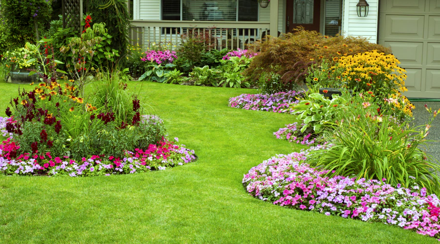 lawn area with flower beds