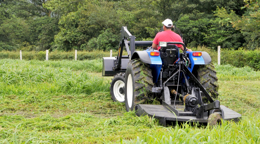 mulching lawn services