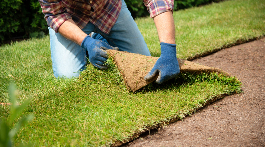 sod installation services